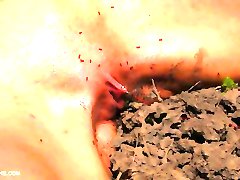 Queensnake.com - Compilation Queensnake.com - Compilation