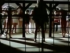 The doll prison camp 1980 slave wifes milfs The doll prison camp 1980 slave wifes milfs