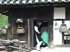 traditional korean woman gets humped