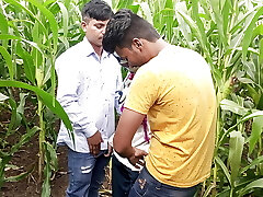 Indian Pooja Shemale Boyfrends Took A Fresh Friends To Pooja Corn Field Today And Three Frends Had A Lot Of Fun In Sex