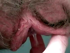 Dripping meaty hairy pussylips 