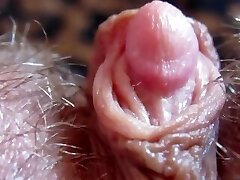 HARD Ginormous CLITORIS IN EXTREME CLOSE UP HD HARD Ginormous CLITORIS IN EXTREME CLOSE UP HD