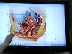 un professeur mature parle de reproduction montre ses organes génitaux pisser fait fisting