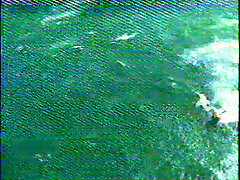 nichts lesbische nymphos mit saftigen fotzen haben eine dampfende 69-session nichts lesbische nymphos mit saftigen fotzen haben eine dampfende 69-session