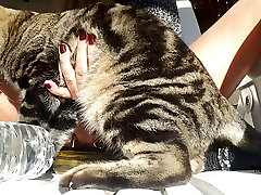 nippleringlover – horny cougar is bare outdoors, fucking bottle, pierced vag, big nipple rings in extremely pierced nipp nippleringlover – horny cougar is bare outdoors, fucking bottle, pierced vag, big nipple rings in extremely pierced nipp