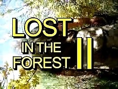 Lost in the Forest Part II