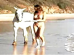 seksowna brunetka merritt cabal jedzie na koniu i go kocha
