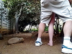 Penetrating the neighbors wife in the garden