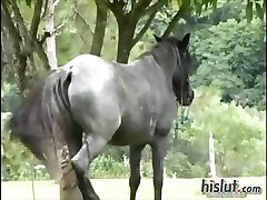 Cette adolescent fille fait l'amour Cette adolescent fille fait l'amour