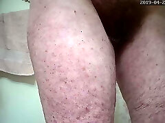 grannys majestueux bush grannys majestueux bush