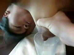 humancow traites humancow traites