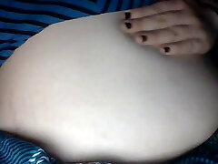 Obese nymph has a huge meal Obese nymph has a huge meal