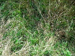 A Guy Saw A Cute Kitten In The Forest And Fuck in The Facehole A Guy Saw A Cute Kitten In The Forest And Fuck in The Facehole