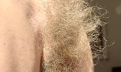 Hairy Sara's wild bush