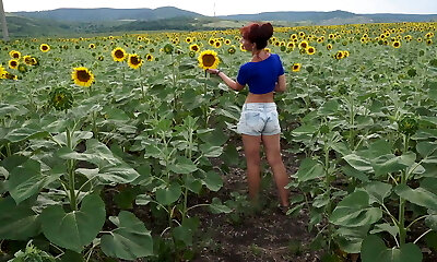 Striptease in Sunflowers