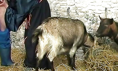 Vintage Retro German Amateur your Daily Dose of Pornography