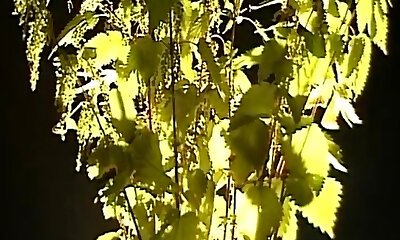 Chains, Slaves and Whips in Pleasure Dungeon Space Chains, Slaves and Whips in Pleasure Dungeon Space