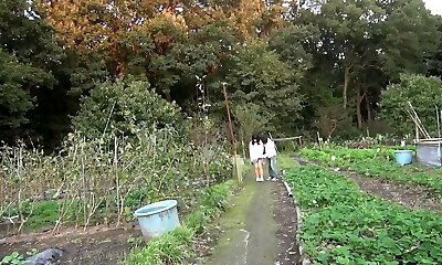 il sesso all'aperto 2: donne mature accattonaggio per cazzo il sesso all'aperto 2: donne mature accattonaggio per cazzo