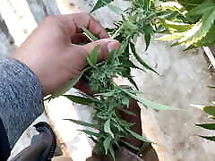 I Put My Penis in My Friend I Put My Penis in My Friend