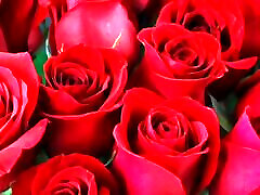 Bangla choto golpo hot sex story bangla choti golpo full story in Bangla Bangla choto golpo hot sex story bangla choti golpo full story in Bangla