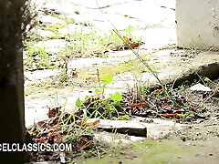 A MAID with many desires