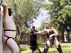 MIND SHAPED TO THE RHYTHM OF THE WHIP