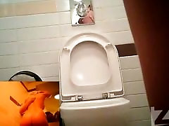 peeping in the toilet hzwc hz wc1860