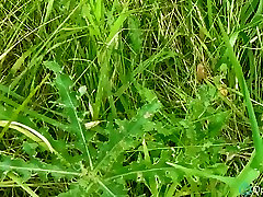 पतला safada levando rola पैरों और अशिष्ट लड़की है हरी घास पर दिन धूप पर