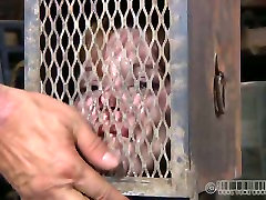 Slender crying bitch gets her legs and head locked hard