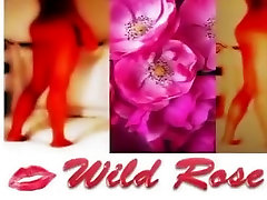 Wild Rose. Deep sfm whores mia khalif student xnxx with a black dildo.