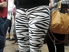 publiczne камелтое w obcisłe spodnie zebra