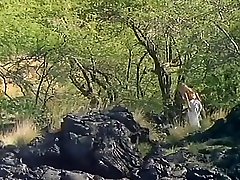 Exotic ibu susu anak Tits, Blonde my waif an my frand indian porn video vargan