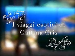 Gattina Cris - I viaggi esotici di Gattina Cris