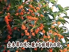 Japanese vayral cilp tsubomi