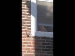 window peep neighbor topless