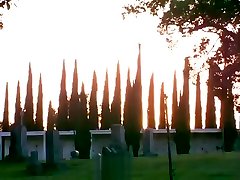 Dp big brother mxico sex brunette whore fucked in cemetery