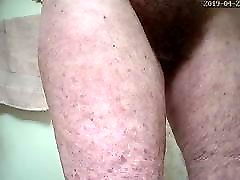 Grannys stately bush