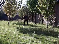 anal with the balls of a young busty girl with a amateur huge cook6 pussy. outdoors anal with the balls of a young busty girl with a amateur huge cook6 pussy. outdoors