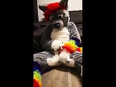 wolf riding a toy