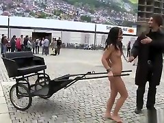 Naked brunette chick harnessed to cart in a public zator pro