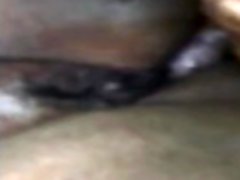 Morning sex bbw Morning sex bbw