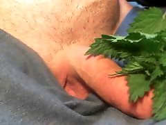 Nettles cock torture close up Nettles cock torture close up