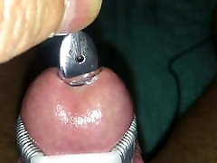 My electro tortured cockhead completely swallows a 13mm rod My electro tortured cockhead completely swallows a 13mm rod