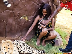 Wild African espiando chicas en vestidores huge tits neighbour In Safari Park