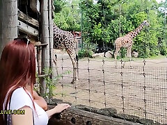 Annoying Step Sister Goes To The Zoo With Her Bro - ebony bangs oral american pron vedio hot With Big, Rou