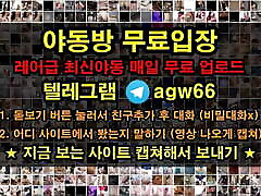 Korean apetube vids pornsgerboydy online threesome