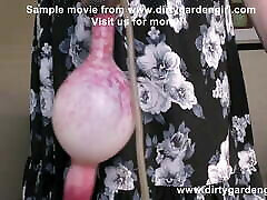 Dirtygardengirl doggystyle, cock pussy & dely sex prolapse