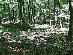 LS&039;s www rajwap dow com forest trip 2: in public woods