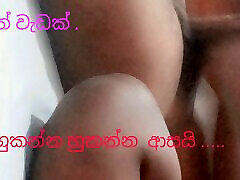 Sri Sri lankan shetyyy black chubby pussy new video