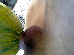 Solo Male with a Melon